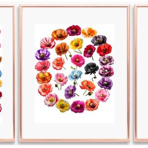 Print Art POPPY FLOWER 28 Colors August Flower Gift For MOM Birthday Unframed